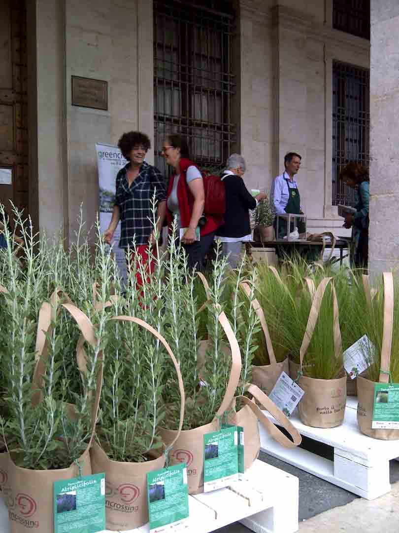 Con il Planting day cala il sipario sul Greencrossing aspettando i migliori paesaggisti del mondo