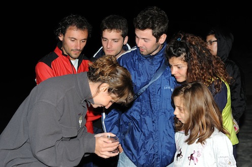 A caccia di farfalle notturne sul Monte Arera