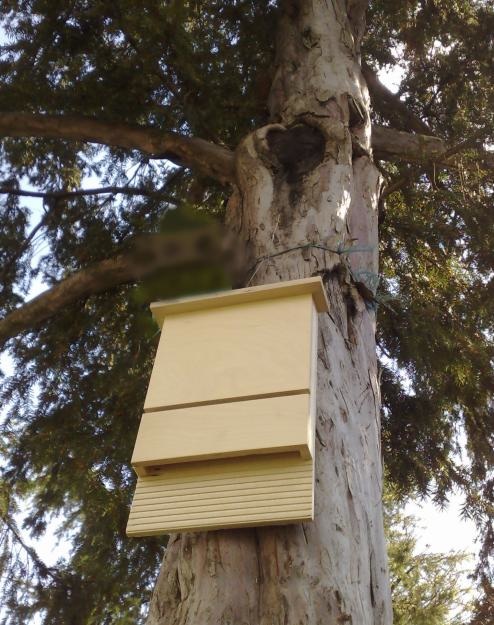 Parco delle Orobie: le bat box arrivano a Santa Brigida