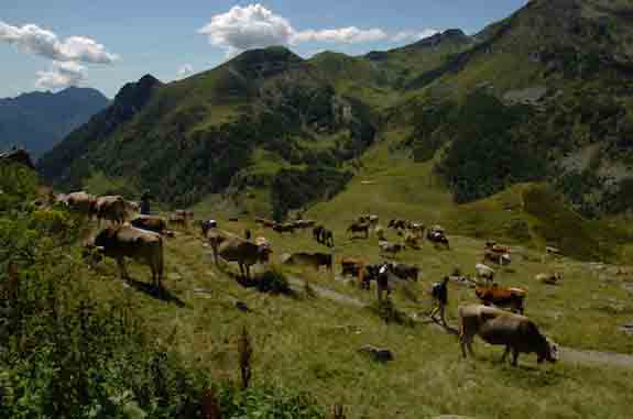 Al via il corso per accompagnatore del Parco delle Orobie in Val Brembana