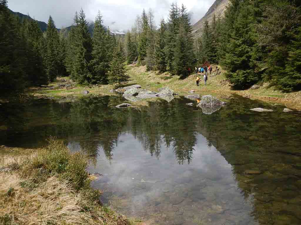 Alla scoperta di una natura unica con Parco Vivo 2013