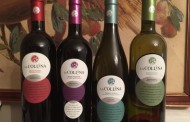 Azienda vitivinicola «La Collina», presentati 4 nuovi gioielli