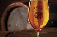 Lezioni al birrificio Otus di Seriate