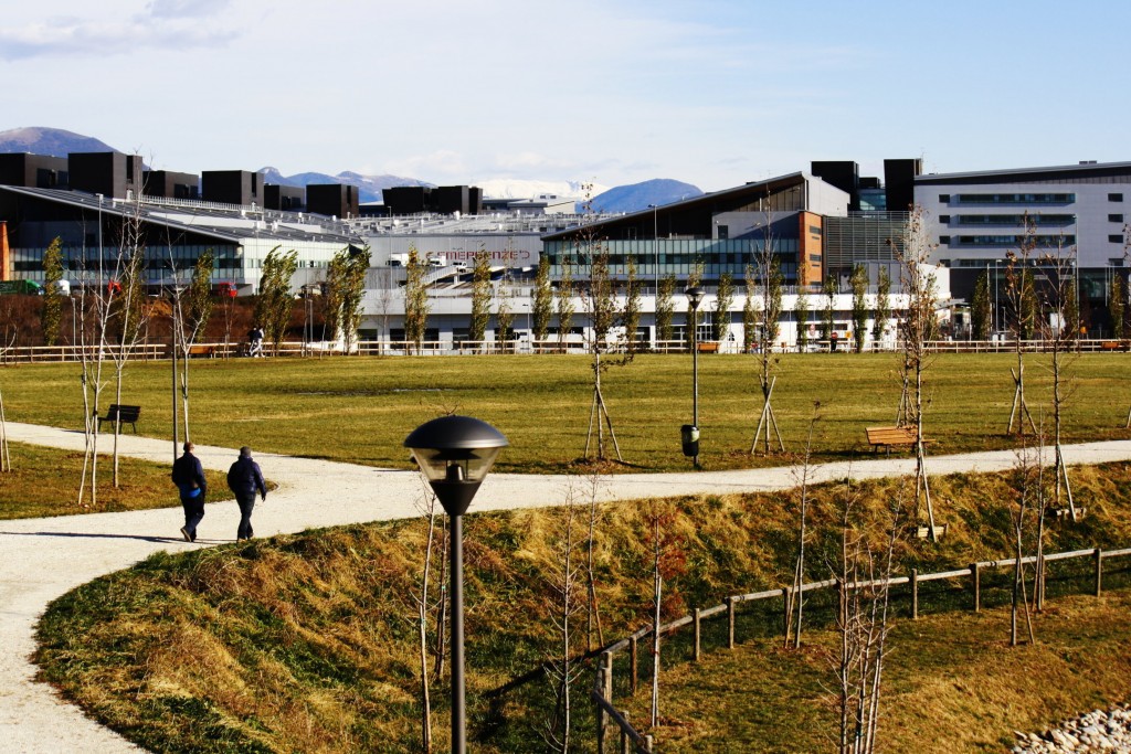 50 nuovi alberi nell’area dell’Ospedale Papa Giovanni XXIII