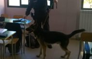 Droga in aumento nelle scuole. La proposta: carabinieri in classe