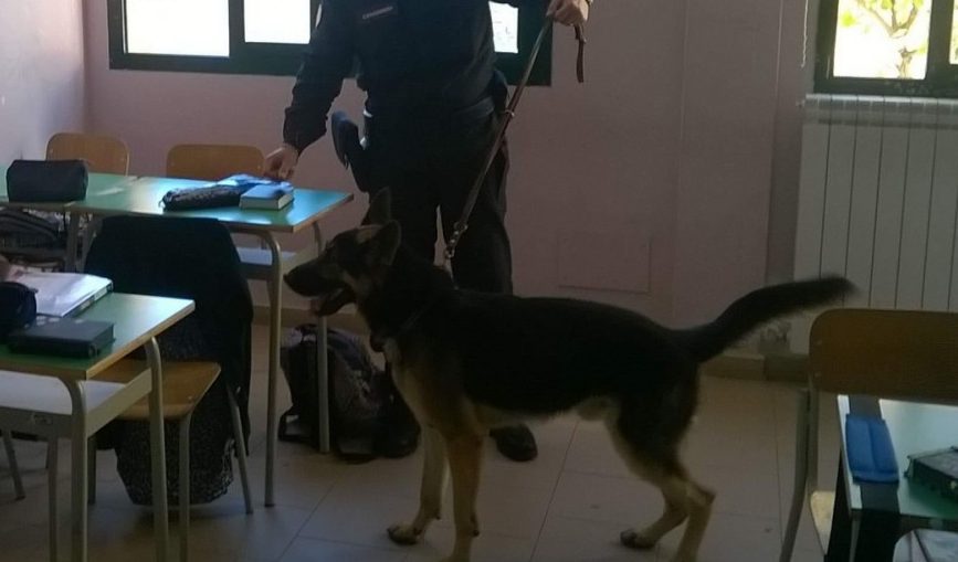 Droga in aumento nelle scuole. La proposta: carabinieri in classe