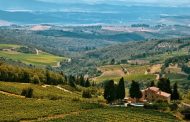 Camminare la terra: vigne e vini d’italia