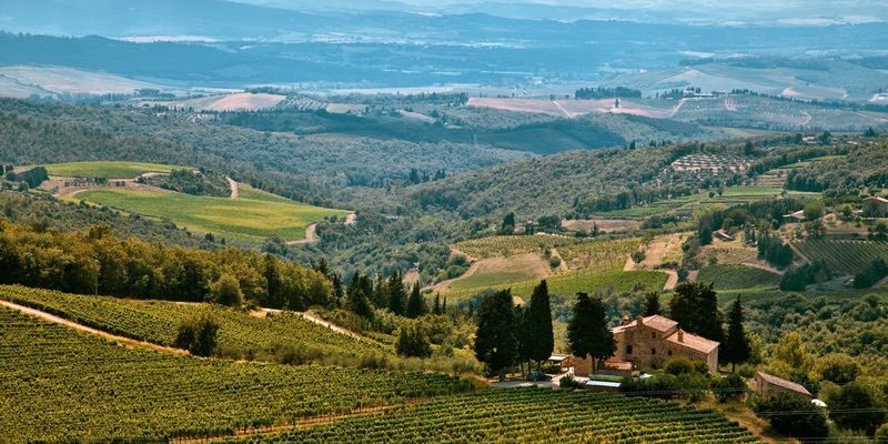 Camminare la terra: vigne e vini d’italia