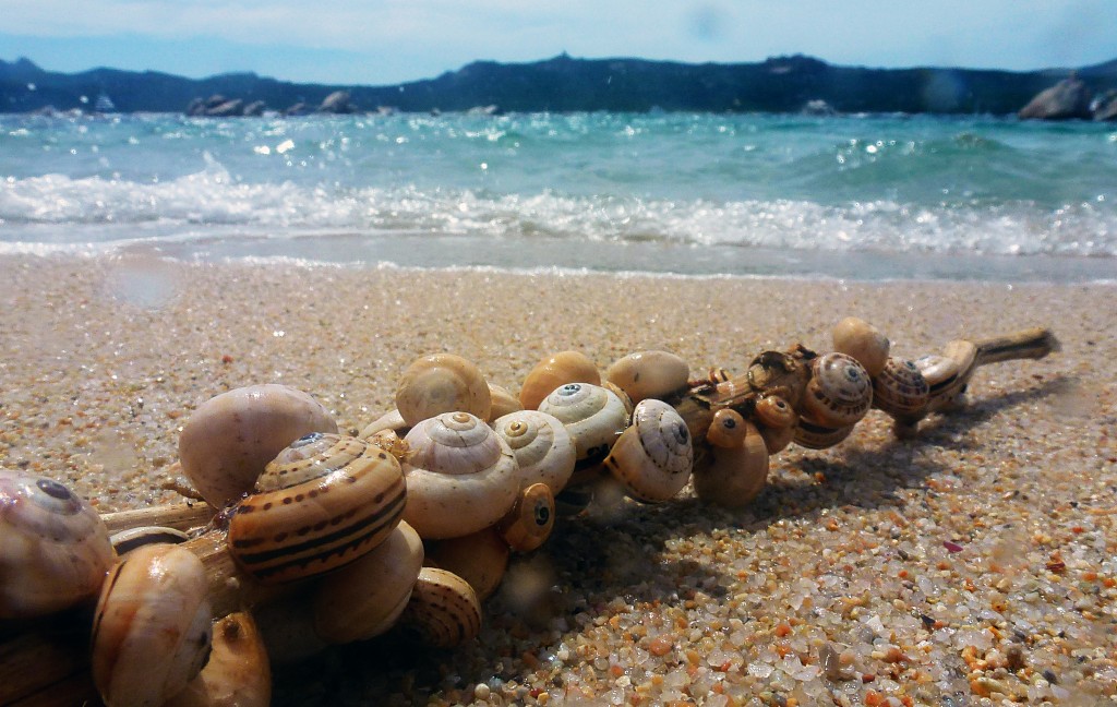 Sardegna, rubano conchiglie e sassi: bergamaschi denunciati