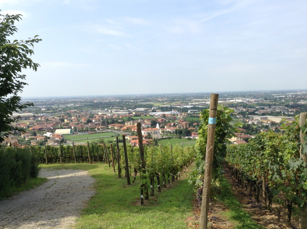 Premi a Merano per i vini del Castello degli Angeli di Carobbio