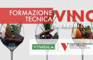 Gli aromi dei vini: le basi molecolari