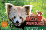 Red Panda Day e World Rhino Day: a Le Cornelle torna Educazoo