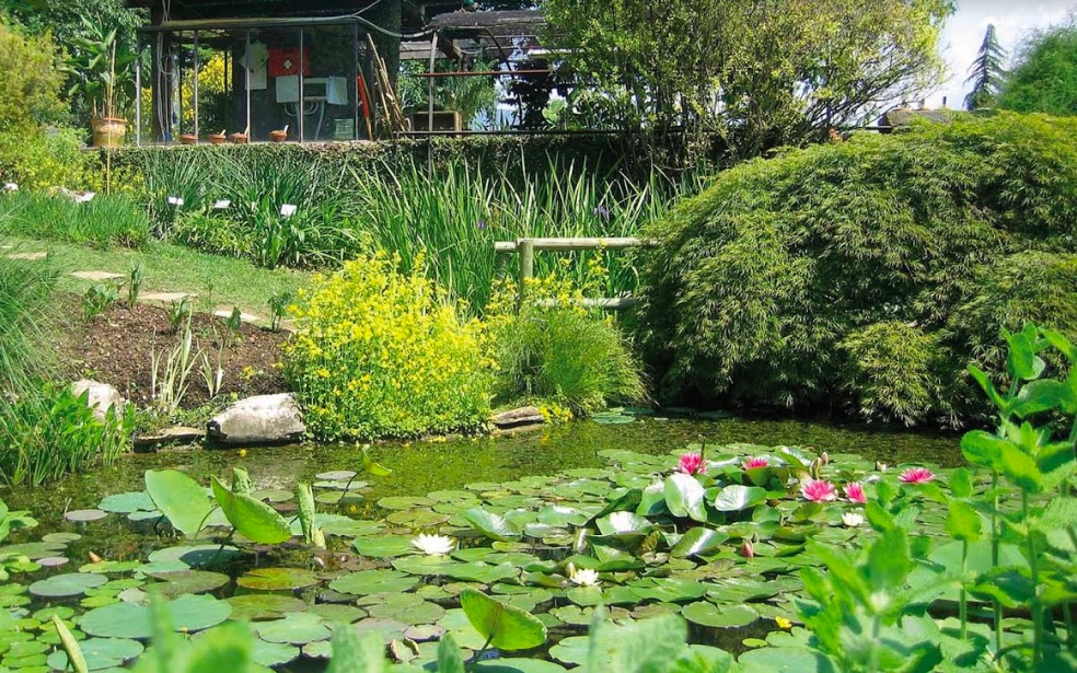 Orto Botanico di Bergamo, 65mila visitatori nel 2018