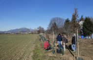 Eco-lavori in corso al parco agricolo: ci sarà un frutteto