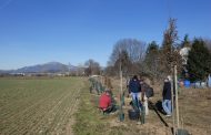 Eco-lavori in corso al parco agricolo: ci sarà un frutteto