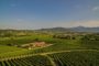 Pellegrini da Cisano al Vinitaly con i suoi vini toscani