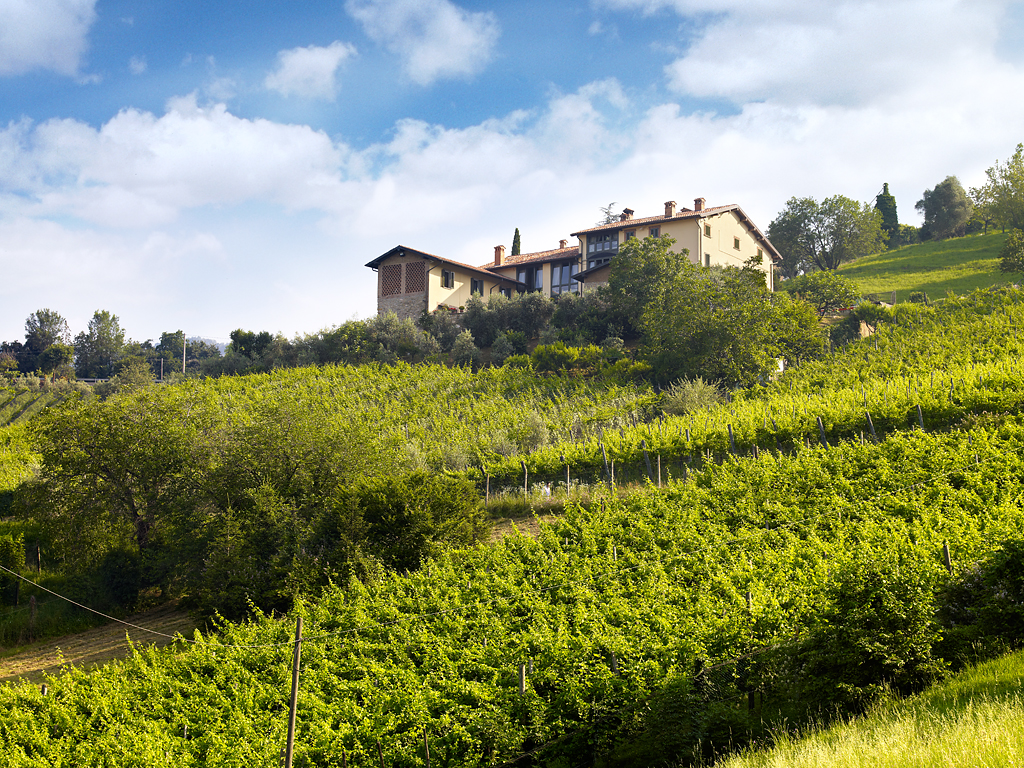 10 vini bergamaschi vincono l'oro a Pramaggiore