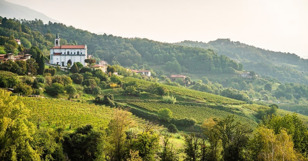 Scopri la Val Pontida tra vino e golosità, domenica 23 giugno