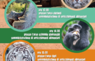 Domenica 28/07 WORLD TIGER DAY e al Parco Le Cornelle continua il progetto Educazoo