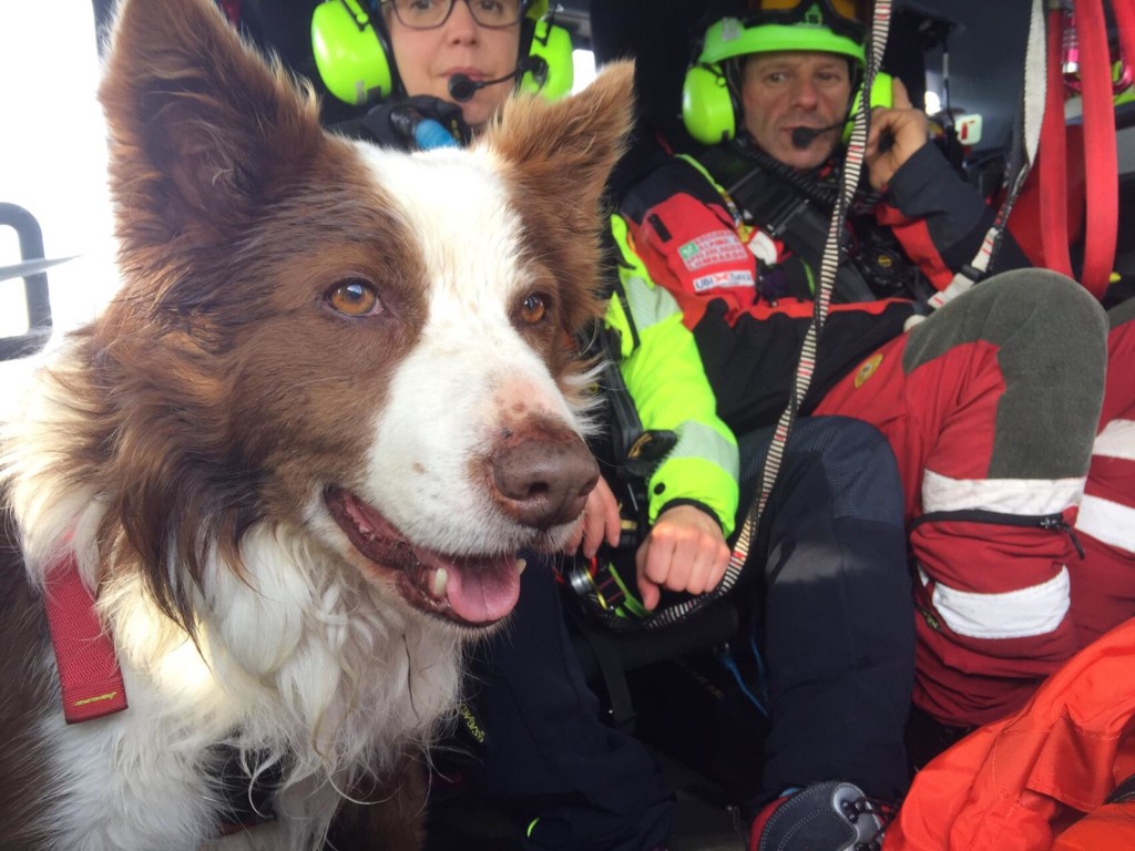 Ultimo grazie ai cani Zeus e Klaus del soccorso alpino