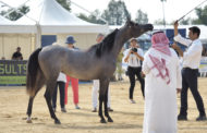 Torna la Fiera di Sant'Alessandro da venerdì a domenica