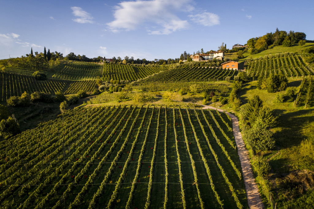 Brillano le 4 Stelle del Moscato di Scanzo 