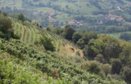 Lo spumante “il 33” di Colletto tra i 100 migliori vini d’Italia