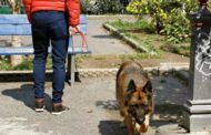 Tolleranza zero per cani senza guinzaglio a Seriate