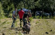 Lyreco aderisce al progetto ForestaMI