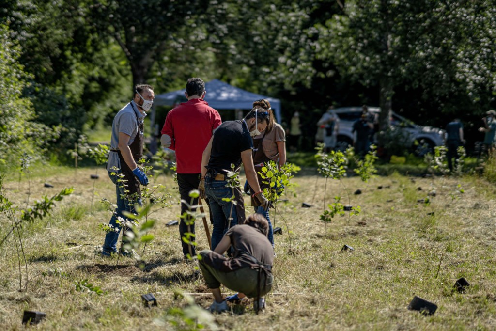 Lyreco aderisce al progetto ForestaMI