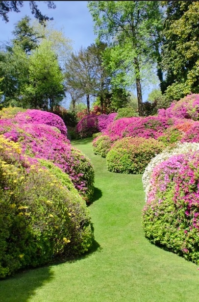 Ripresa degli Orti  Botanici della Lombardia