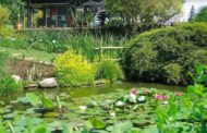 Gli Orti Botanici lombardi celebrano il solstizio d’estate