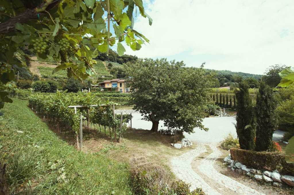 Tenuta Casa Virginia di Bruntino: l’AgriRistorante è servito