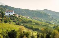 Alla scoperta della Valpontida tra boschi e cantine