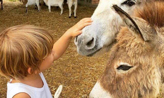 Al via i campi estivi per bambini al Castello di Malpaga