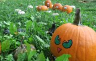 L'autunno di Tulipania, paradiso delle zucche di Halloween