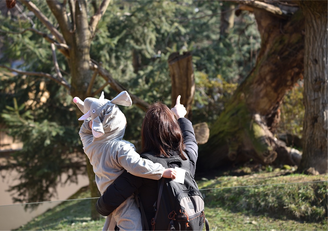 Carnevale al Parco Faunistico Le Cornelle