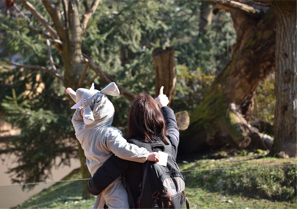 Carnevale al Parco Faunistico Le Cornelle