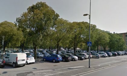 Parco Olmi, 15 alberi malati da abbattere