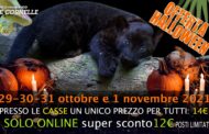 Dolcetto o scherzetto?  Anche il Parco Le Cornelle festeggia la notte di Halloween