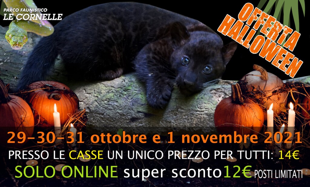 Dolcetto o scherzetto?  Anche il Parco Le Cornelle festeggia la notte di Halloween