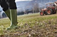 I rincari superano i guadagni di agricoltori e allevatori