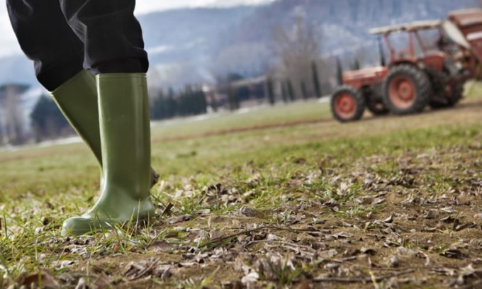 I rincari superano i guadagni di agricoltori e allevatori