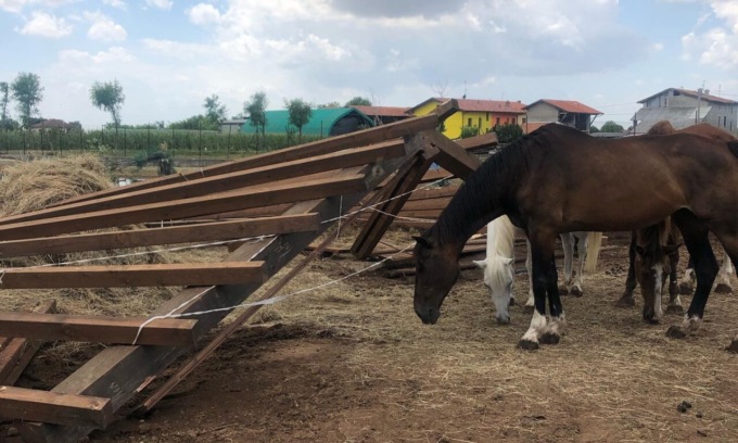 Zanica, tromba d'aria sul rifugio per animali