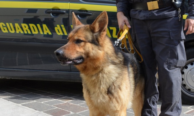 Sgominata banda di spacciatori tra Bergamo e Milano