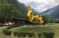 Muore schiacciato dal noce che stava tagliando
