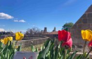Risveglio di primavera nell'Orto botanico di Bergamo