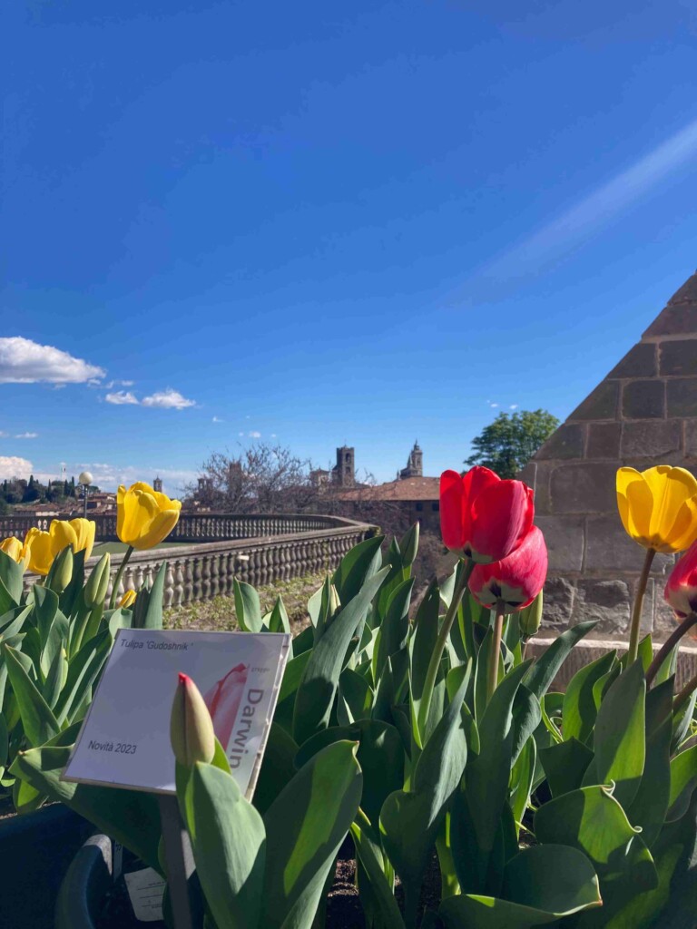 Risveglio di primavera nell'Orto botanico di Bergamo