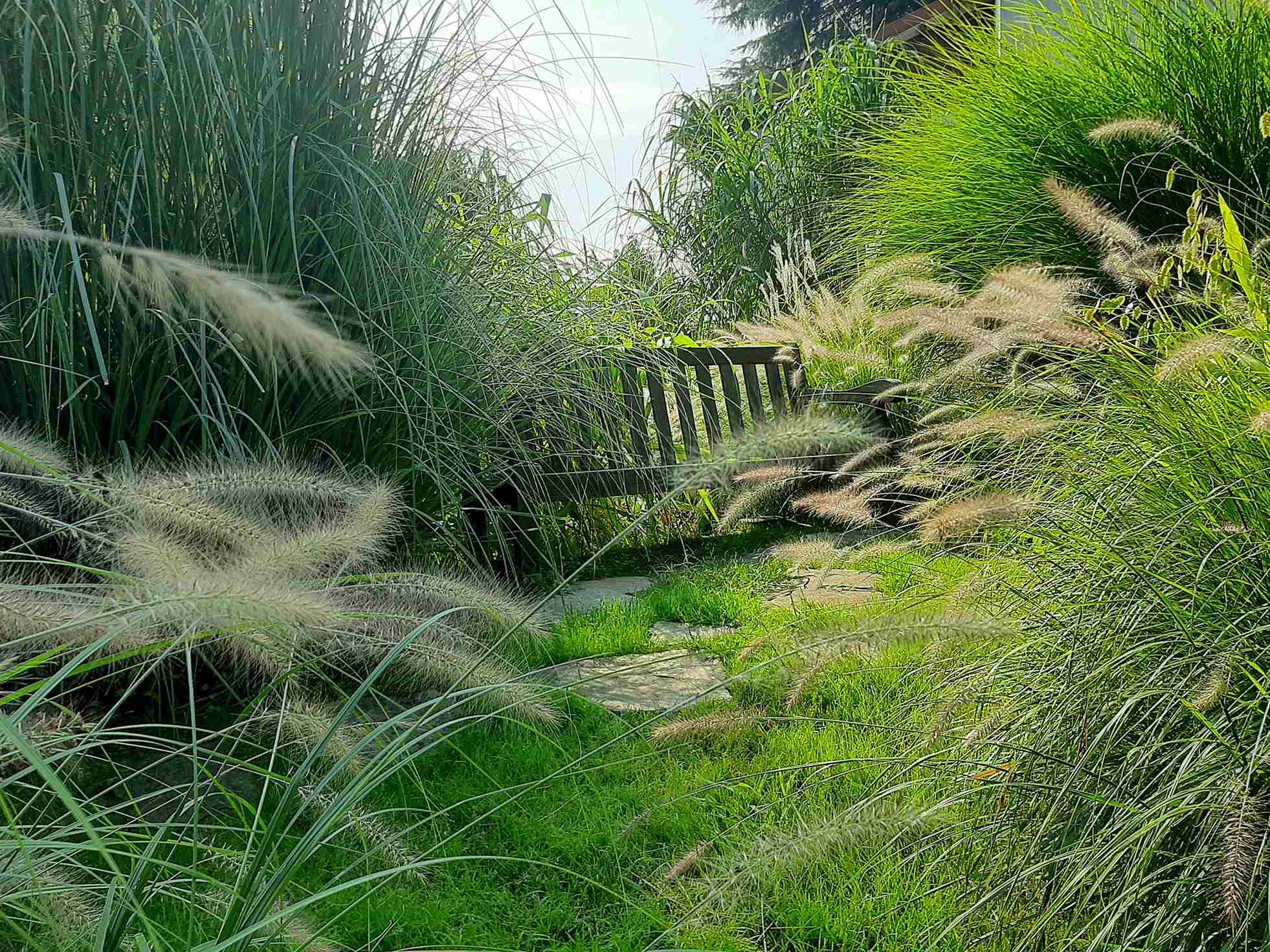 Estate in natura: aperti anche ad agosto gli Orti botanici della Lombardia