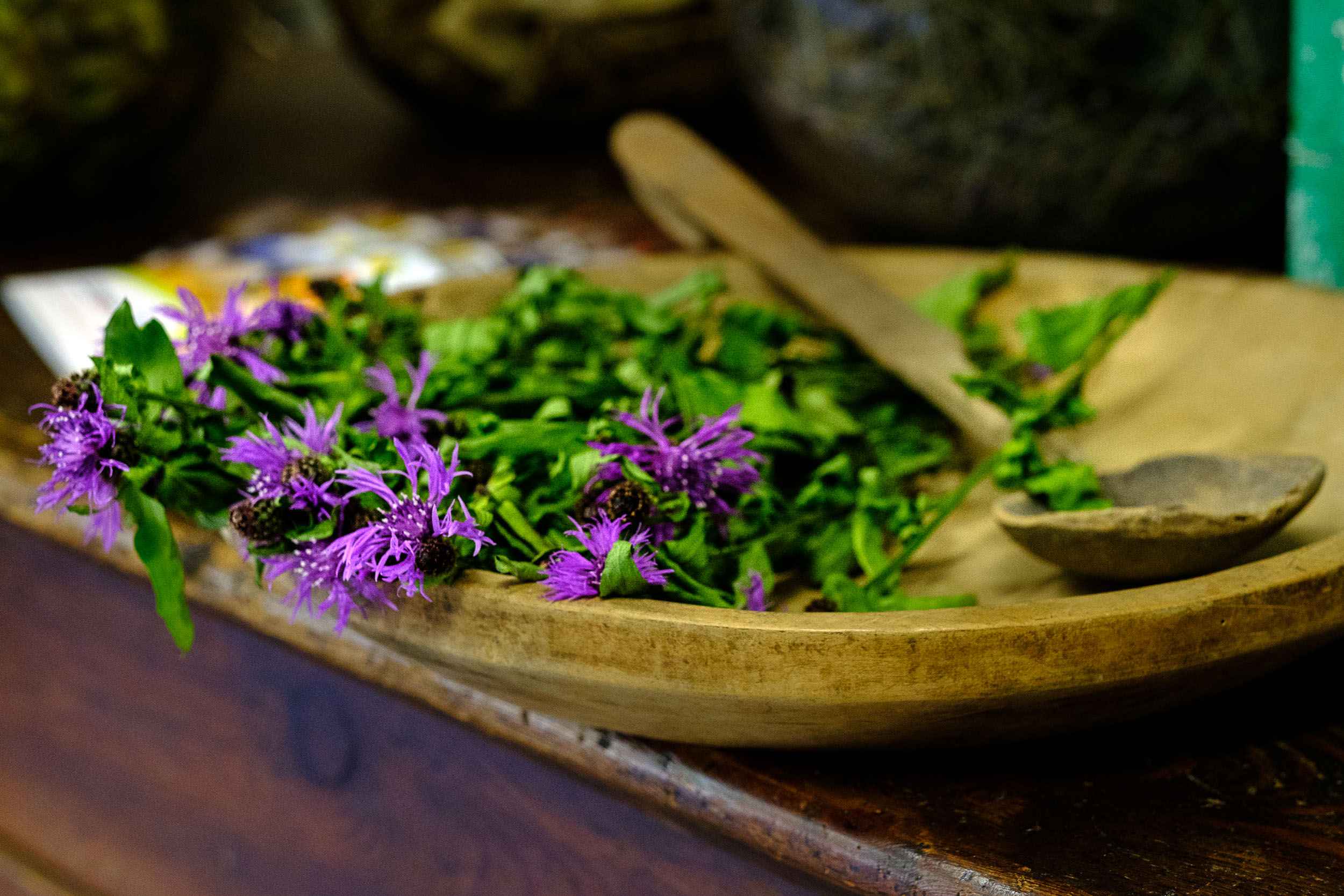 Tornano “le erbe del casaro”: due weekend alla scoperta di natura e sapori dell’Alta Valle Brembana